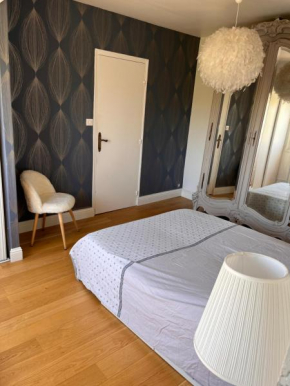 Appartement de charme vue sur Loire